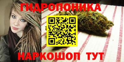 PSILOCYBIN Бугуруслан