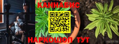 PSILOCYBIN Бугуруслан