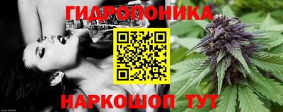 PSILOCYBIN Бугуруслан