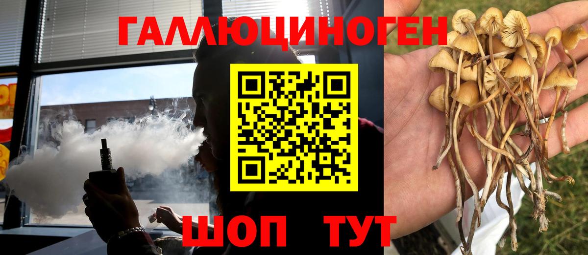 Галлюциногенные грибы MAGIC MUSHROOMS Юрга