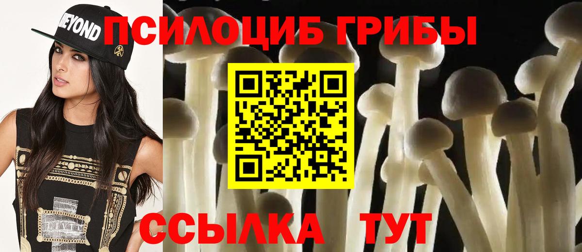Юрга  Галлюциногенные грибы мухоморы  Вход с VPN 